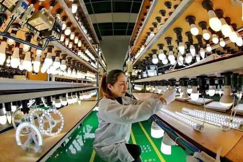 出口退稅政策激活外向經濟新動能 遂寧經開區貿易代理服務升級觀察